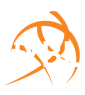 IMPACT Youth Basketball League